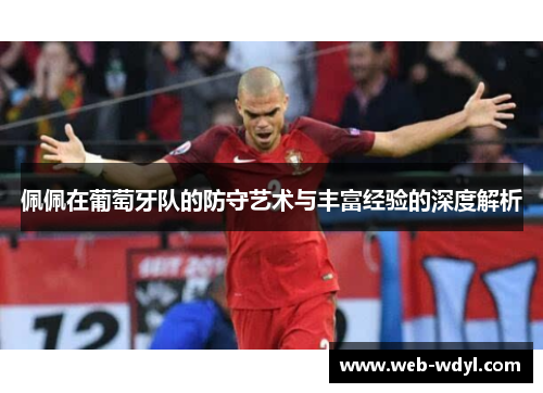 佩佩在葡萄牙队的防守艺术与丰富经验的深度解析