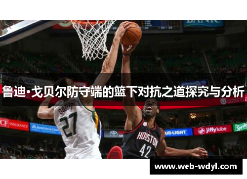鲁迪·戈贝尔防守端的篮下对抗之道探究与分析