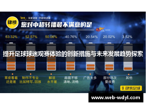 提升足球球迷观赛体验的创新措施与未来发展趋势探索