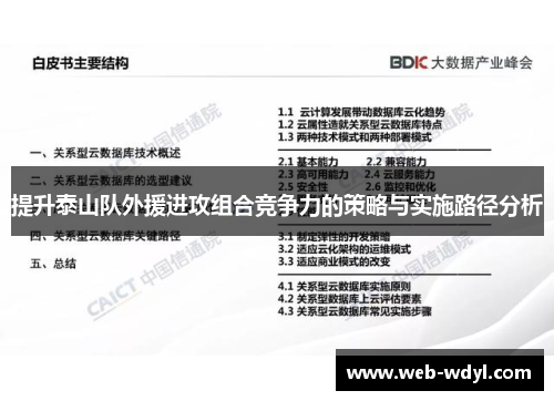 提升泰山队外援进攻组合竞争力的策略与实施路径分析