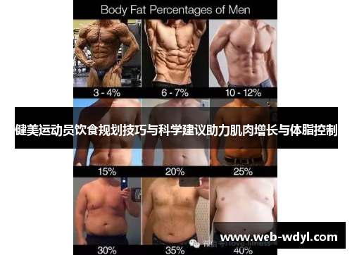 健美运动员饮食规划技巧与科学建议助力肌肉增长与体脂控制