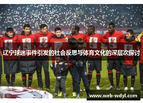 辽宁球迷事件引发的社会反思与体育文化的深层次探讨