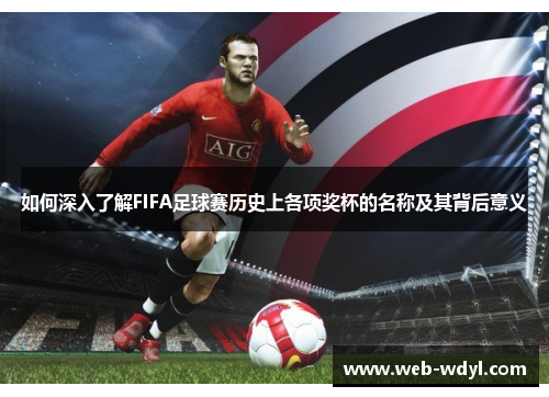 如何深入了解FIFA足球赛历史上各项奖杯的名称及其背后意义