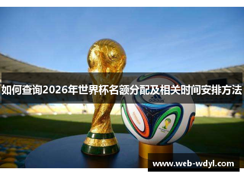 如何查询2026年世界杯名额分配及相关时间安排方法