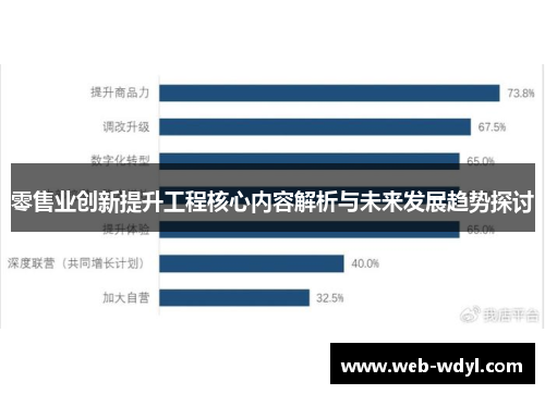 零售业创新提升工程核心内容解析与未来发展趋势探讨
