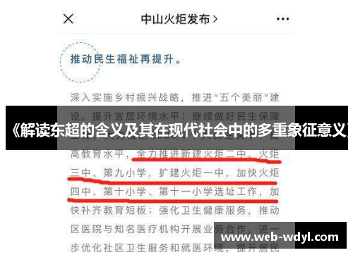 《解读东超的含义及其在现代社会中的多重象征意义》