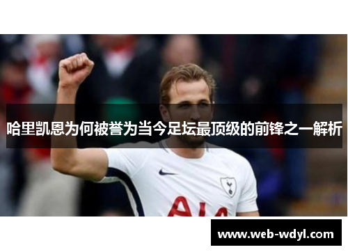 哈里凯恩为何被誉为当今足坛最顶级的前锋之一解析