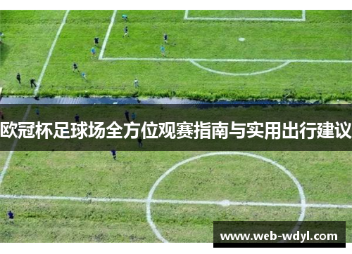 欧冠杯足球场全方位观赛指南与实用出行建议