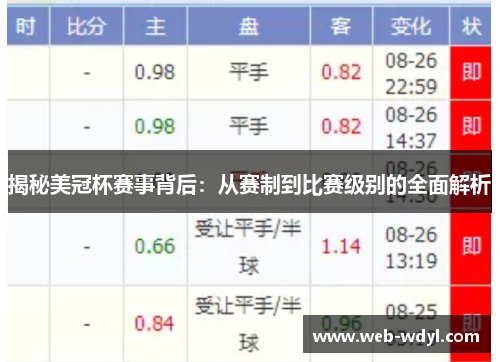 揭秘美冠杯赛事背后：从赛制到比赛级别的全面解析